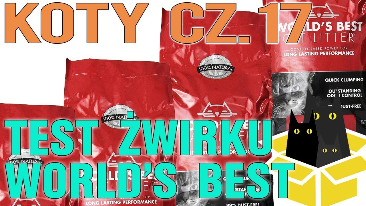 Koty odcinek 17 Zbrylajacy sie żwirek kukurydziany World's Best