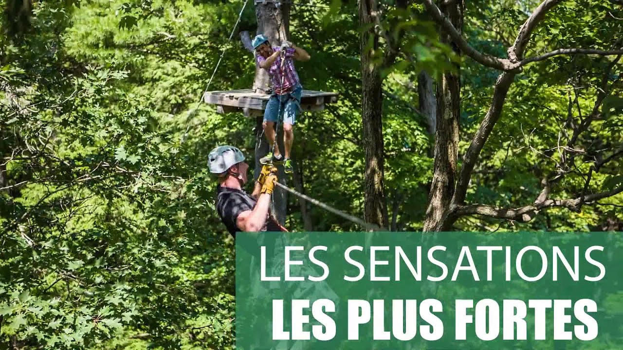 Arbraska, déjà 15 ans de fun à la hauteur!