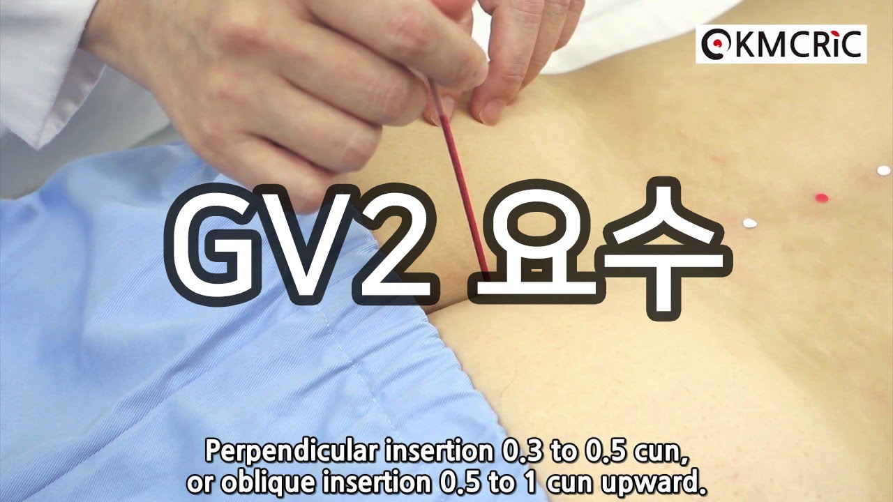 GV2 요수 腰兪 Yaoshu (Eng sub) - KMCRIC WHO Standard acupoint DB