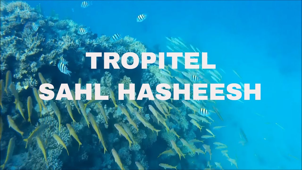 Snorkeling Tropitel Sahl Hasheesh Hurghada - SJ4000 the GoPro Alternative - House Reef North