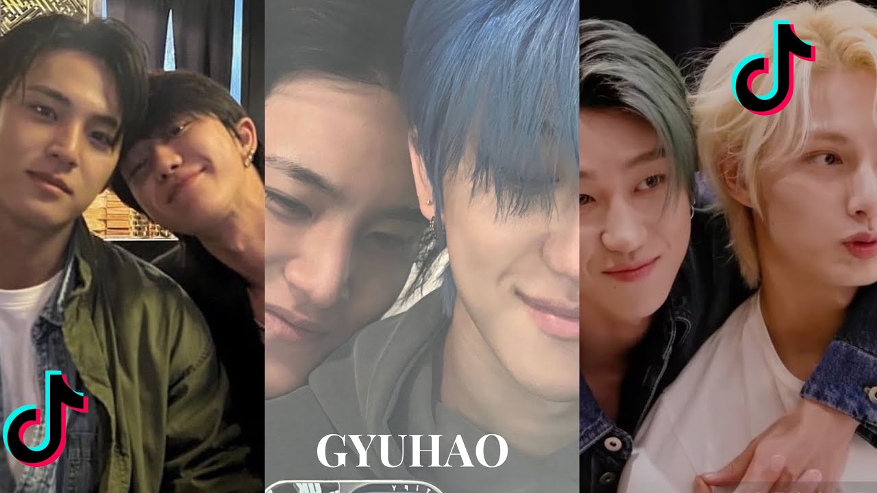 GYUHAO TikTok compilation| Mingyu Minghao moments