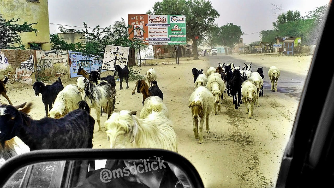 नापासर, बीकानेर Napasar bikaner Journey Rajasthan - 2017 Travel (ट्रैवेल) Vlog | खम्मा घनी   :)