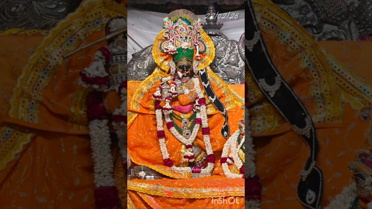 Today's Divine 4 Darshan #vrindavan #barasana #radharaman #radhavallabh #bankebihari #livedarshan