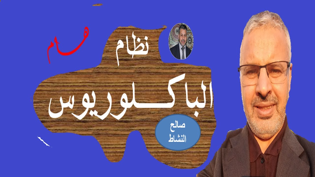 أجي تتعرف على نظام الباكلوريوس الجديد في الجامعة المغربية