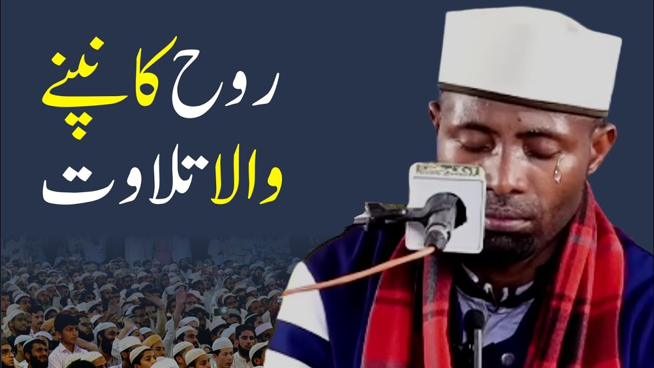 Emotional Quran Recitation by Qari Eidi Shaban | Soul Touching Tilawat