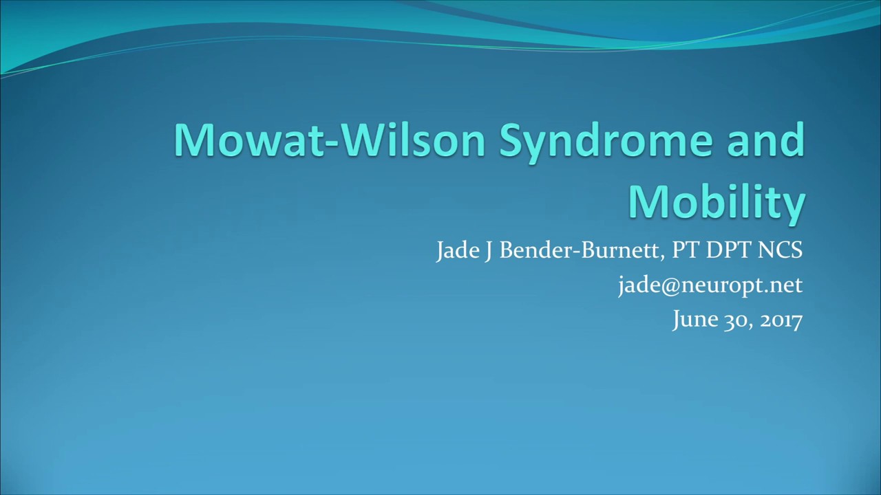 2017 MWSF Conference - Mobility and MWS