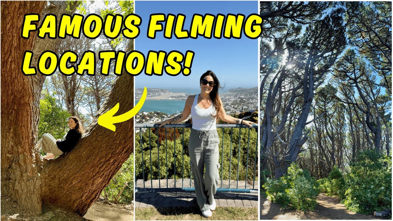 Amazing Lord of the Rings and Weta Workshop Tour in Wellington, NZ!