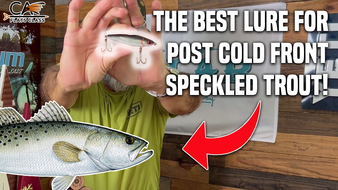 Post Cold Front Speckled Trout Bite! | Flats Class YouTube