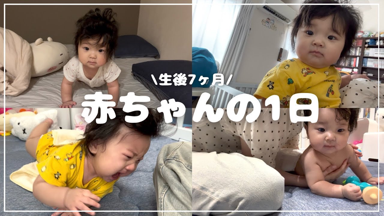 【生後7ヶ月】赤ちゃんの1日🎥