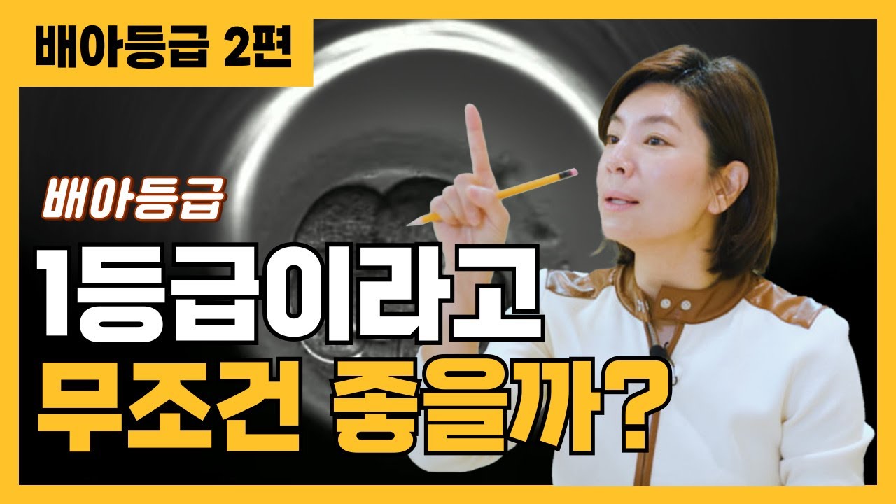 [올댓연구소] 배아, 많이 넣을수록 임신 잘 되나요? | 3일 vs 5일 배양, 이식 전략 완전정리