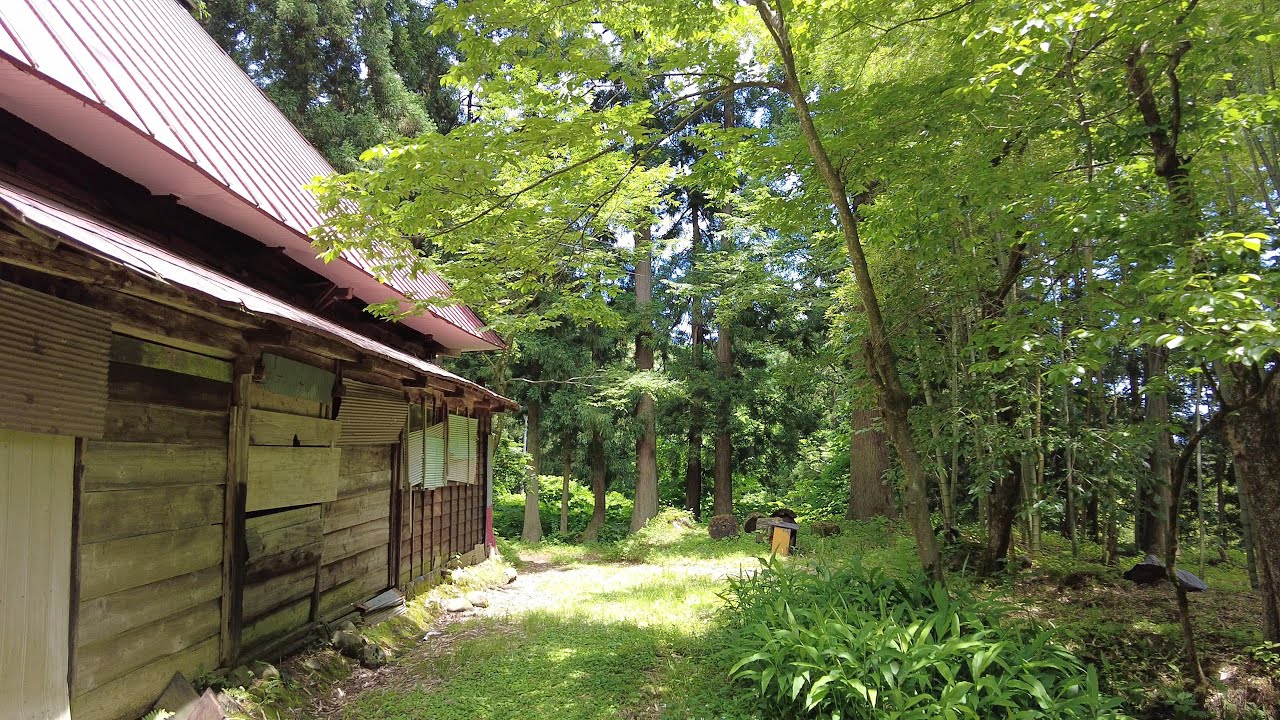 昔は塩の留置や運搬に従事していた人達の住む集落だったらしい無住地区、塩荷谷(しおにだに)探索　上越市塩荷谷