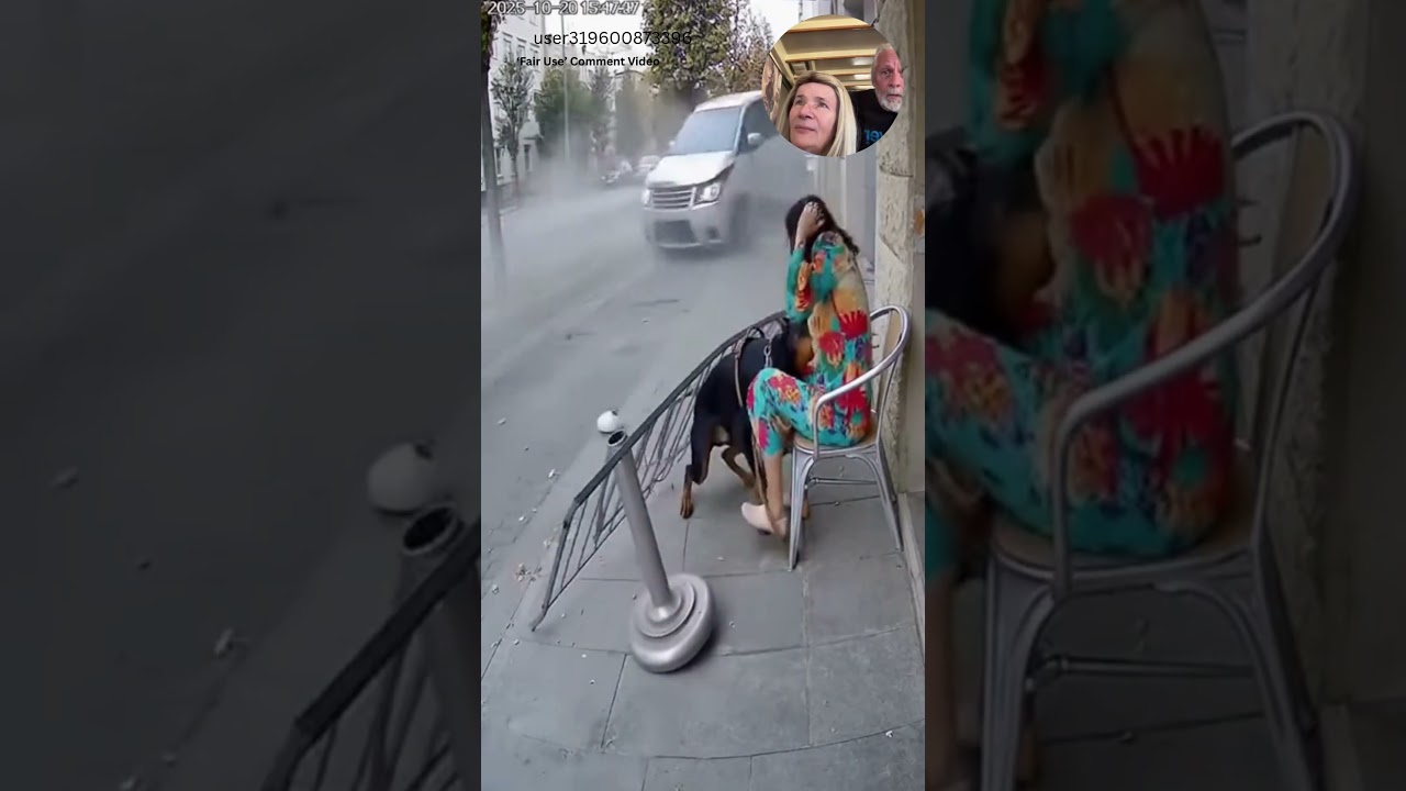 Собака чувствует опасность