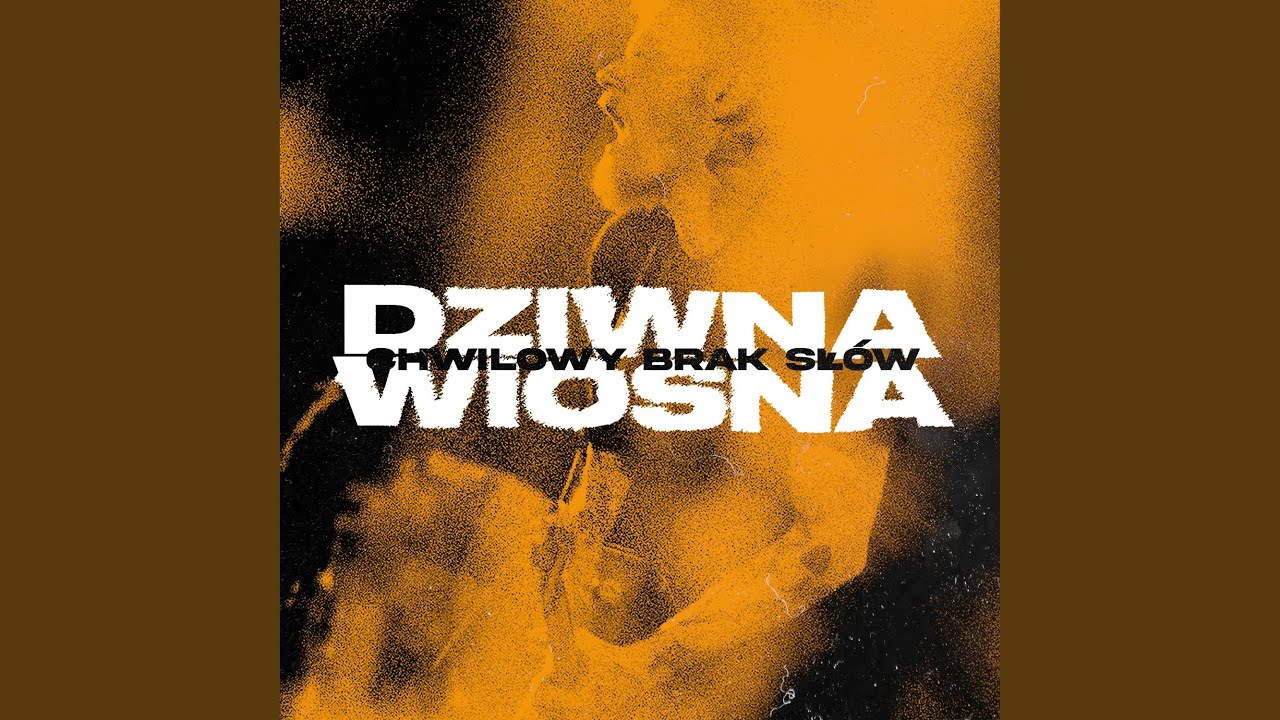 Chwilowy brak słów (Radio Edit)