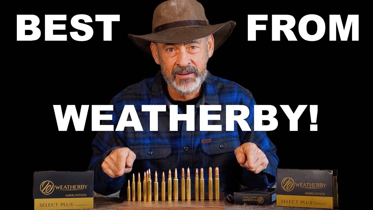 ЛУЧШИЕ картриджи Weatherby?