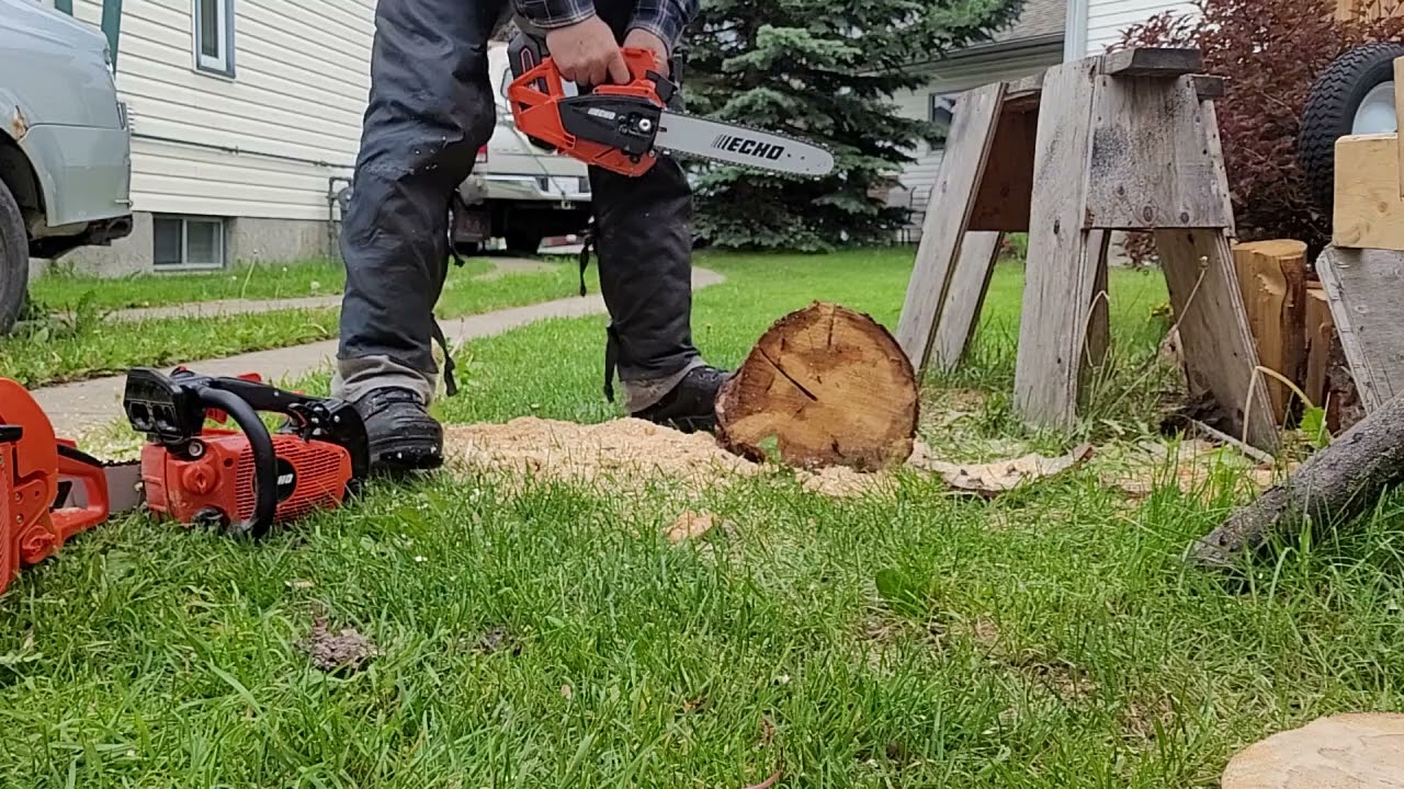 Echo 2500 Battery chainsaw, 56 volt, 12 inch bar, cutting old dry spruce