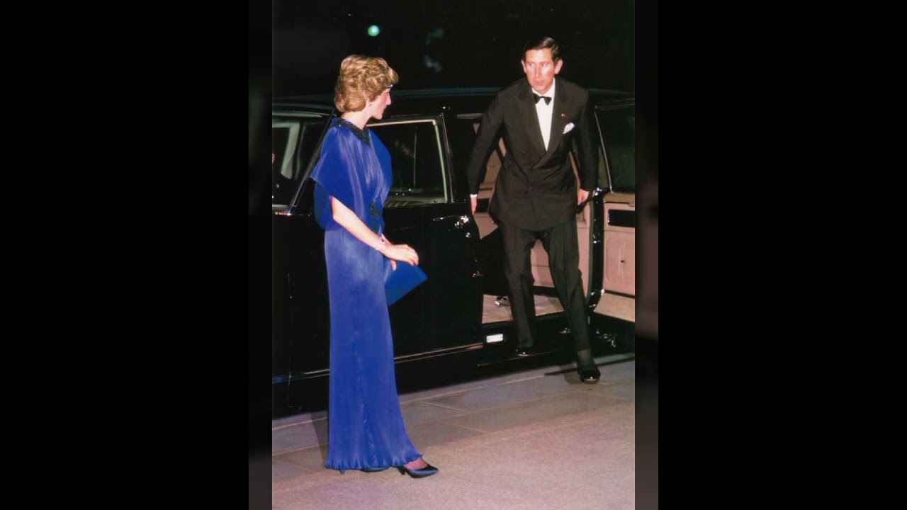 Queen Denina Very good Looking dress