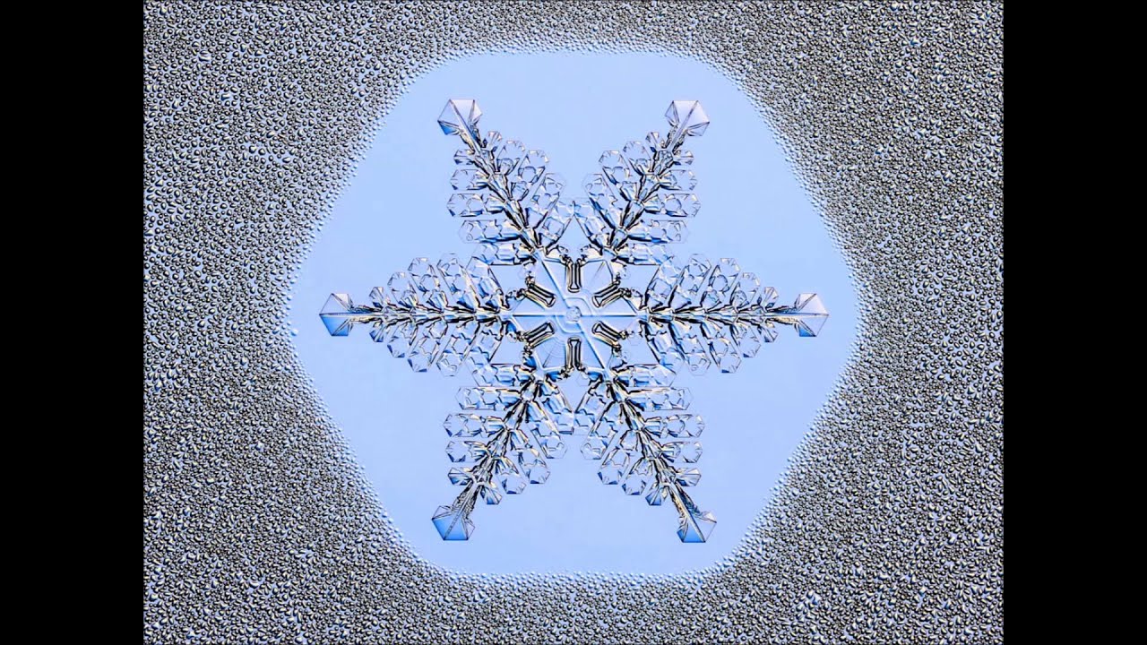 Birth of a Snow Crystal