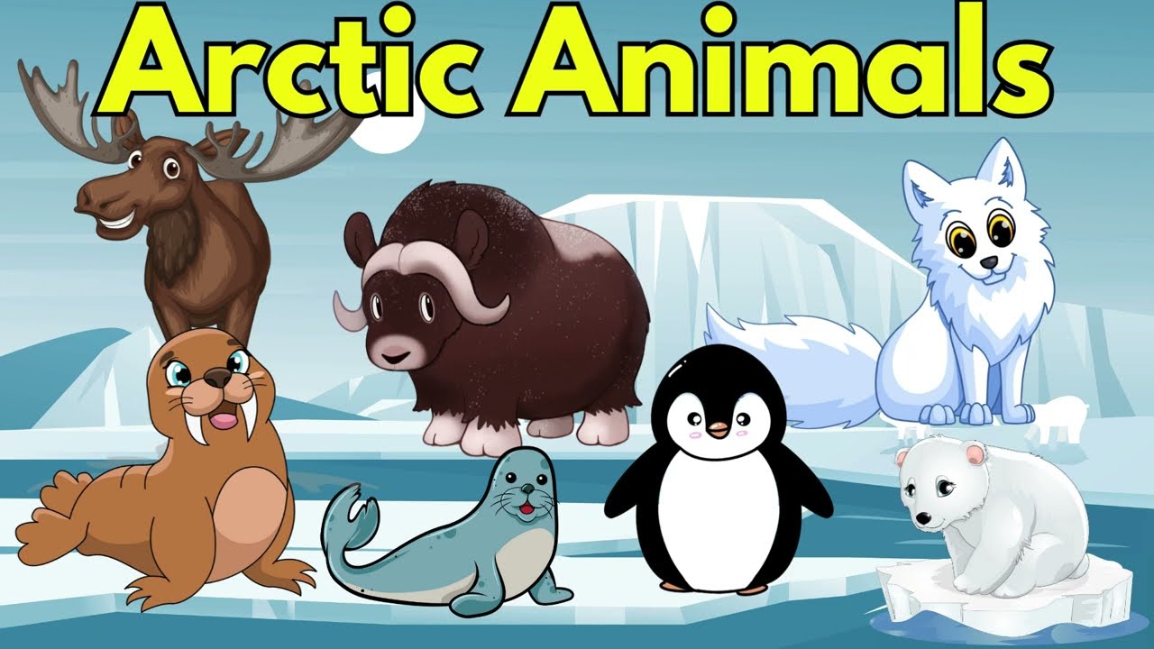 Arctic Animals for Kids - Arctic Animal for Children to Learn | Snow Animals & Polar Animals