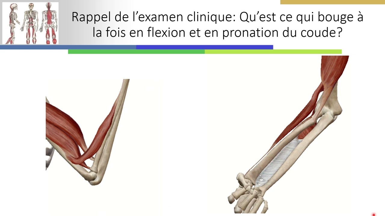 Un coude qui craque...