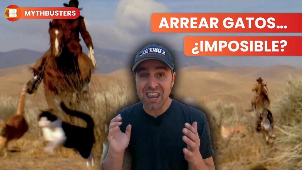 Arrear Gatos Con Adam Savage En Vacaville | MythBusters