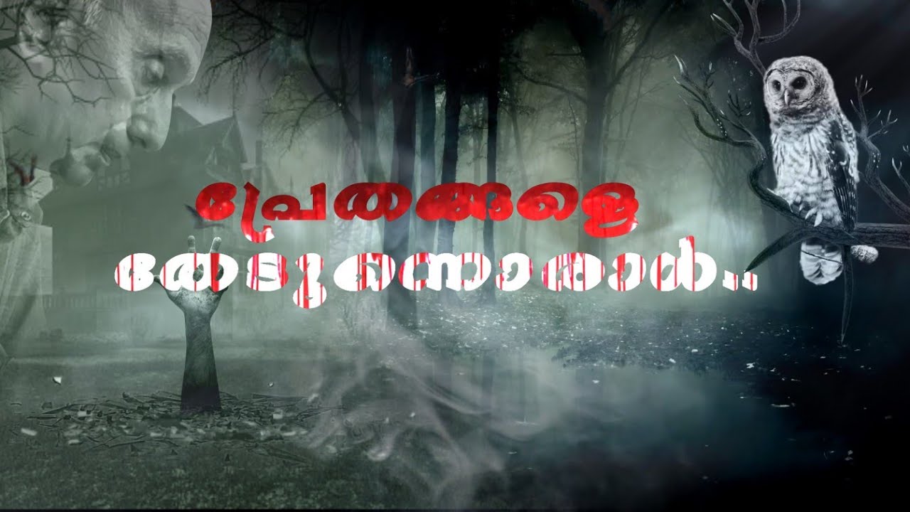 പ്രേതങ്ങളെ തേടുന്നൊരാൾ.. പ്രേതാനുഭവങ്ങൾ പങ്കുവച്ച് പ്രൊഫ. ജോർജ്ജ് മാത്യു | George Mathew