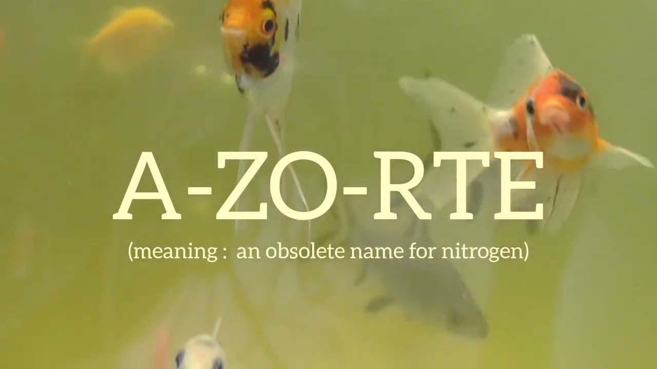 AZORTE | how to pronounce the brand name Azorte?