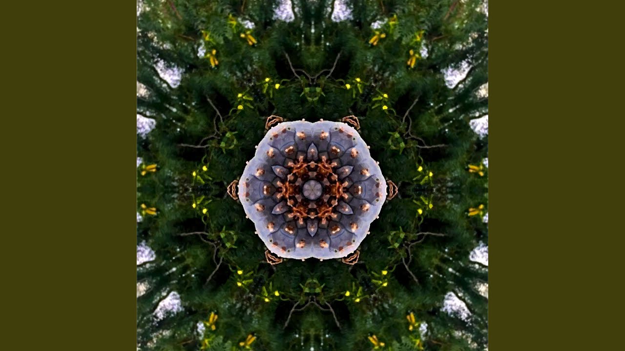Cactus Energy