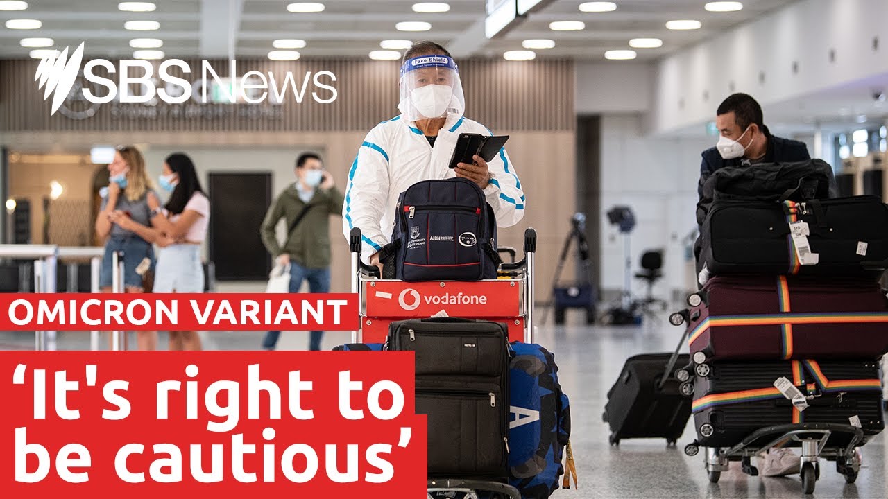 What we know about the new COVID-19 variant Omicron | SBS News