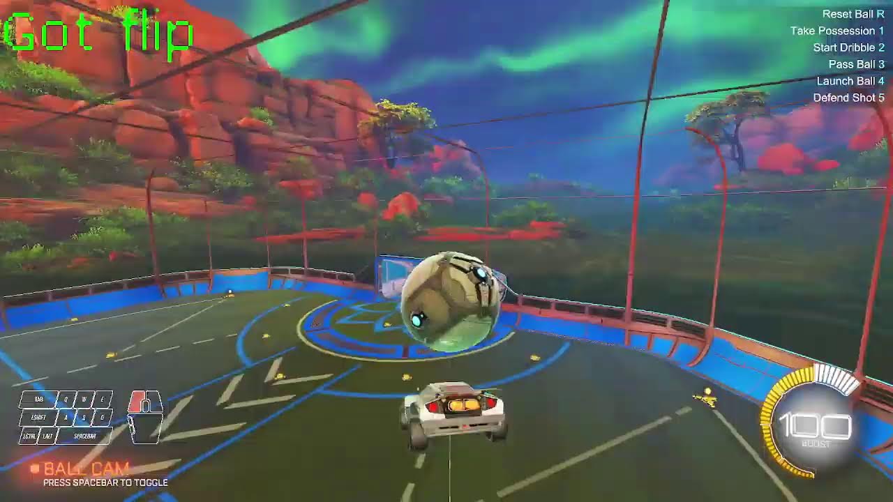 Playing Rocket League!