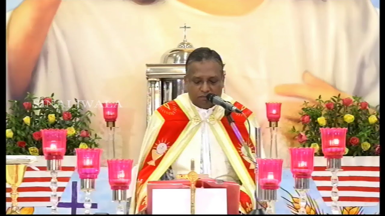 Holy Mass | Fr Davis Thottappilly OFM Cap. | 29-11-2020