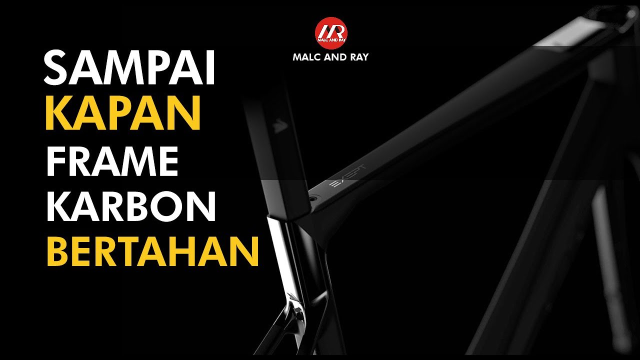 Berapa lama Bingkai Sepeda Karbon bertahan? (308)