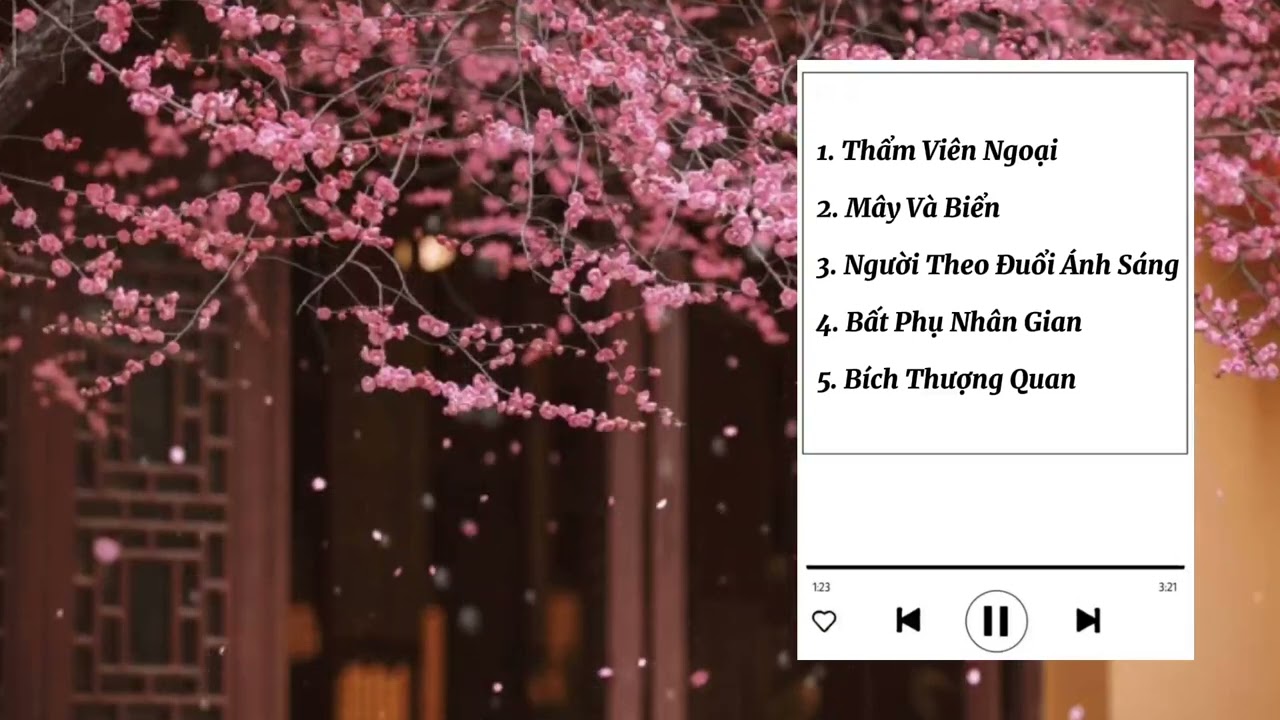 Playlist Nhạc Trung | Thẩm Viên Ngoại, Mây Và Biển,....Bích Thượng Quan | Panda Chill Corner