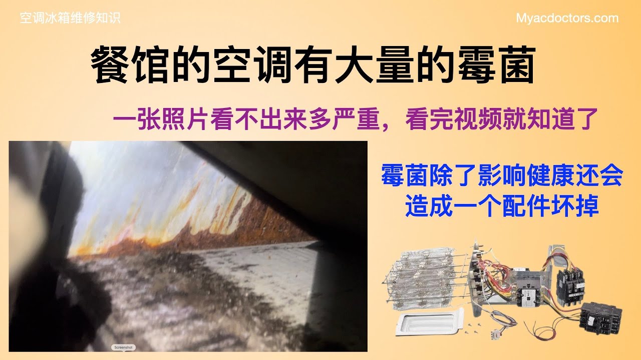 餐馆空调大量霉菌 除了健康还会影响什么？Restaurant AC Covered By Molds | Ruud 3 Phase Heat Strip Kit Replacement