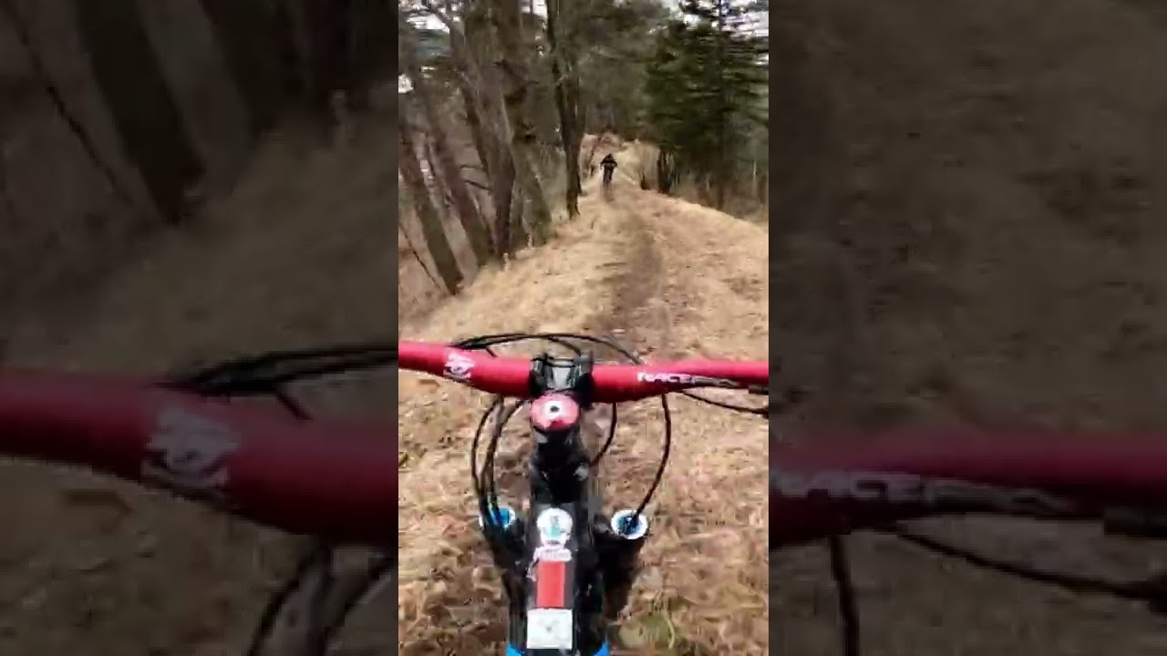 HomeTrail #shorts #ckmtb #giantreign #downhill #schweiz #mtb #fast #rideordie #ride #fast #trail