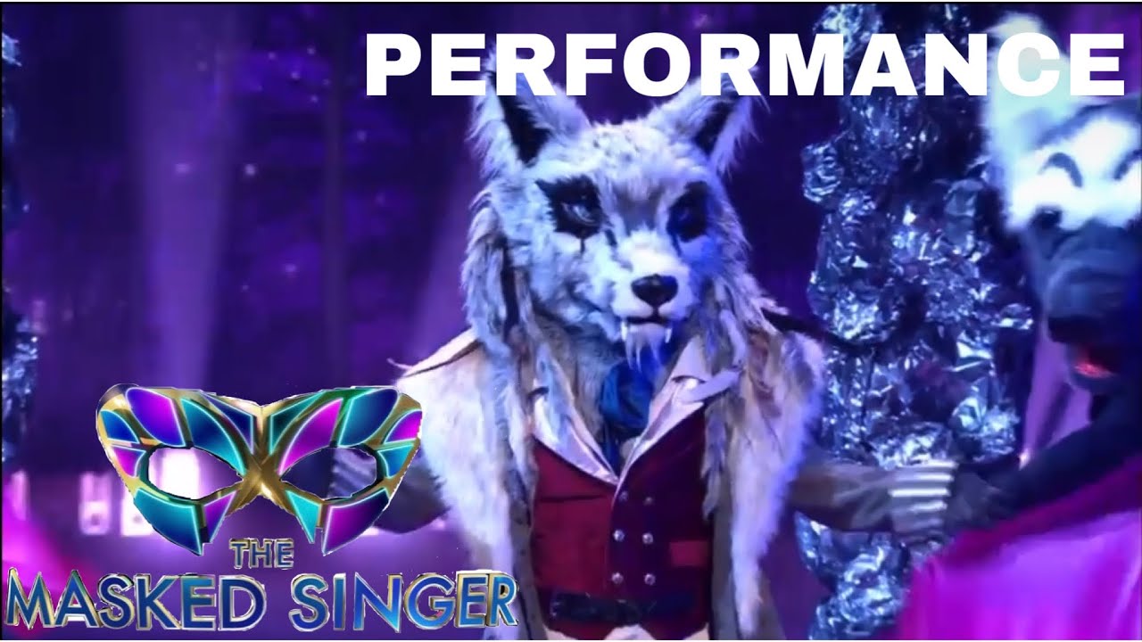 Wolf sings 