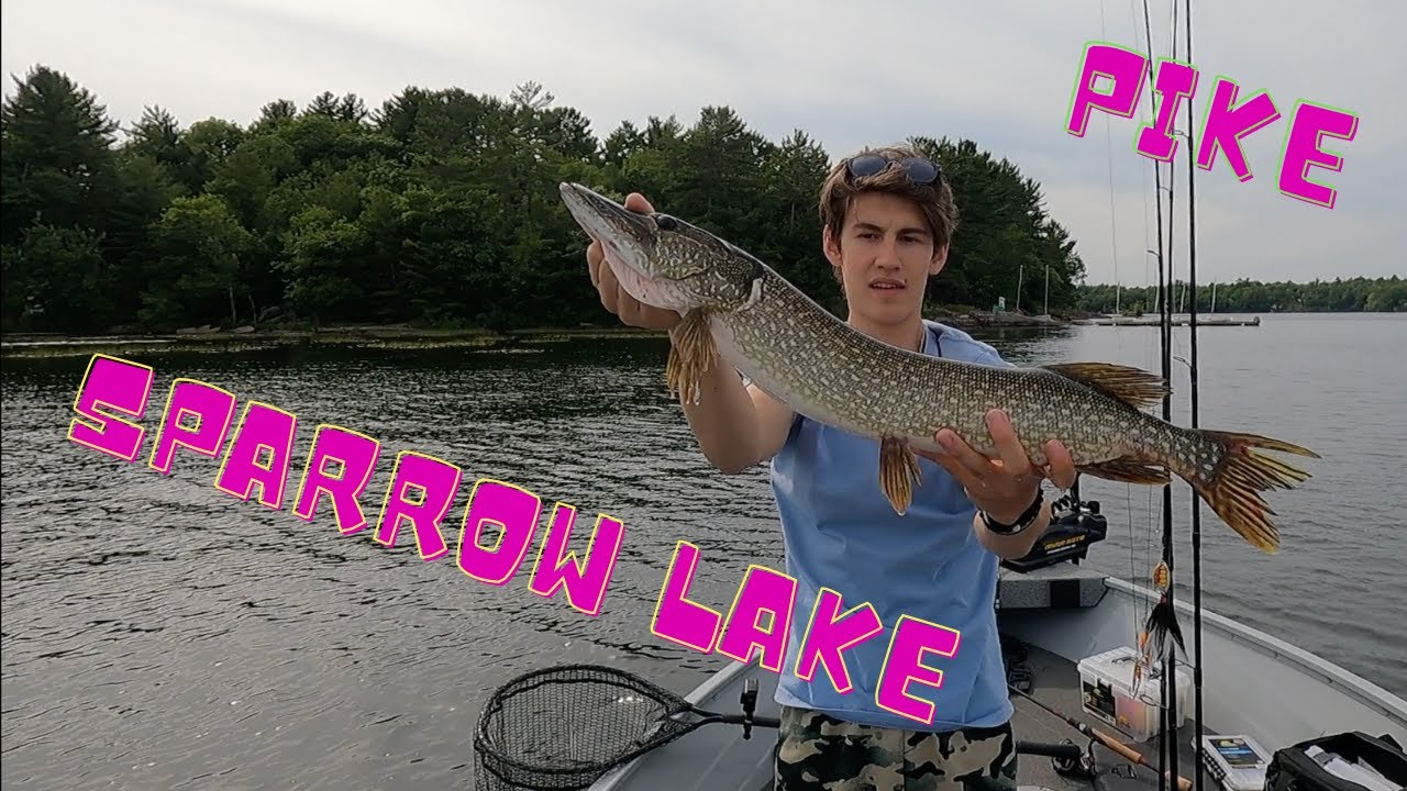 Pike Fishing_Sparrow Lake