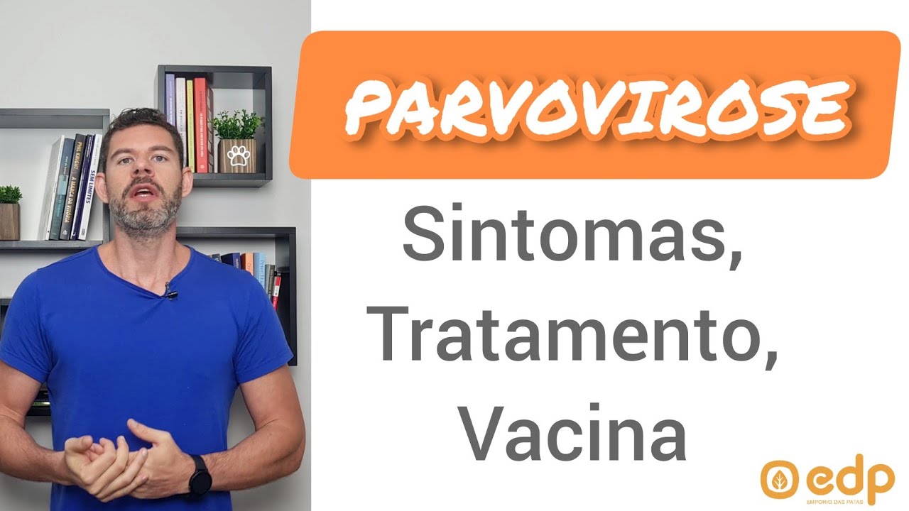 152 | PARVOVIROSE CANINA - COMO PEGA, SINTOMAS, QUAL REMÉDIO PARA TRATAR E VACINA PARA PREVENIR