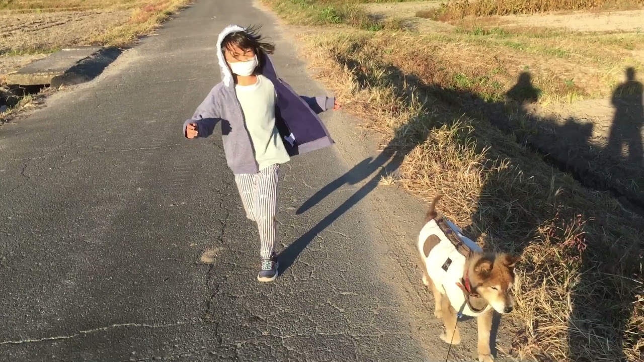 2021令和3年下半期　柴犬ラッキー&猫のチーコ