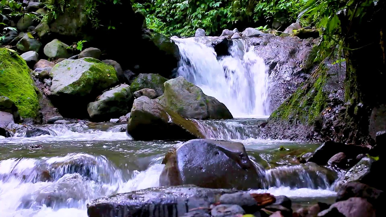 Relax Completely with Gentle Mountain River Flowing Water Sounds