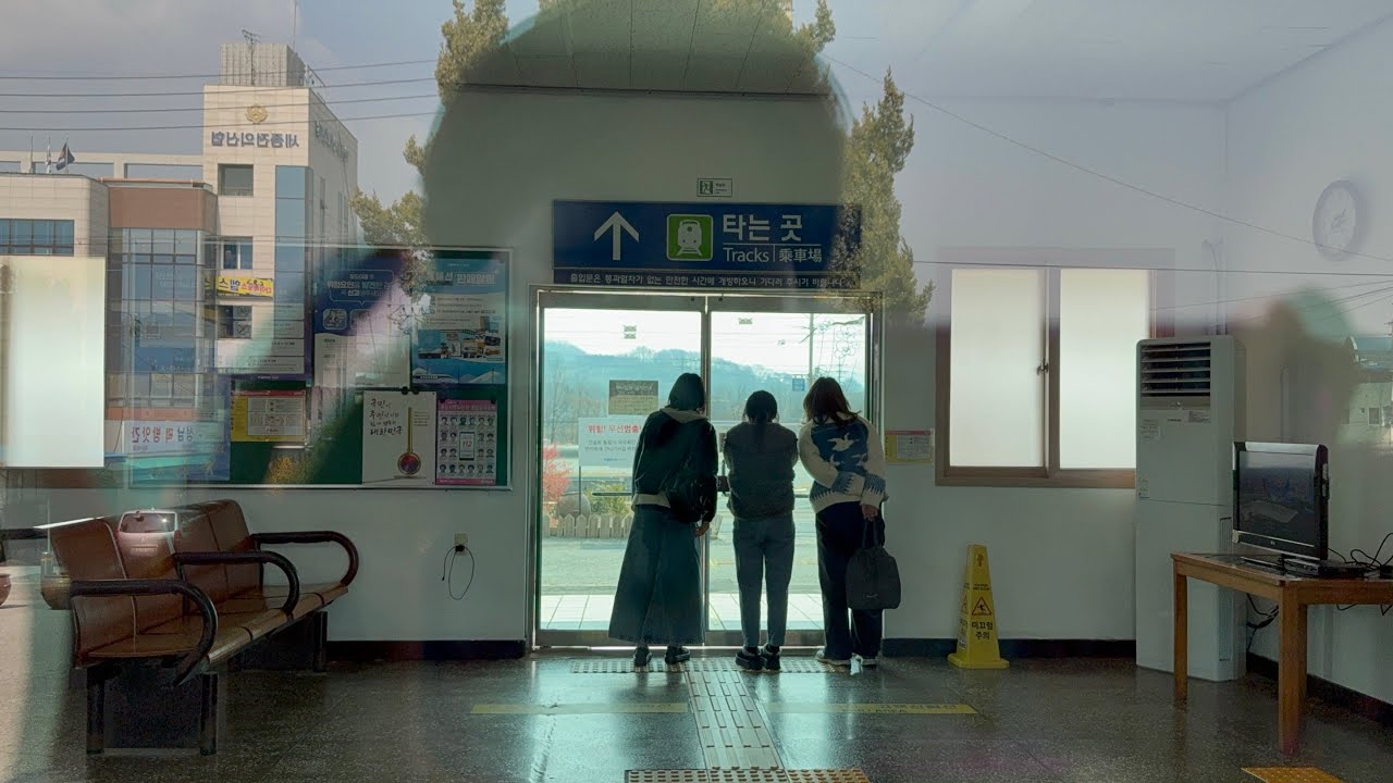 주부브이로그/전의역구경/대전중앙시장/월화수목금(순삭)