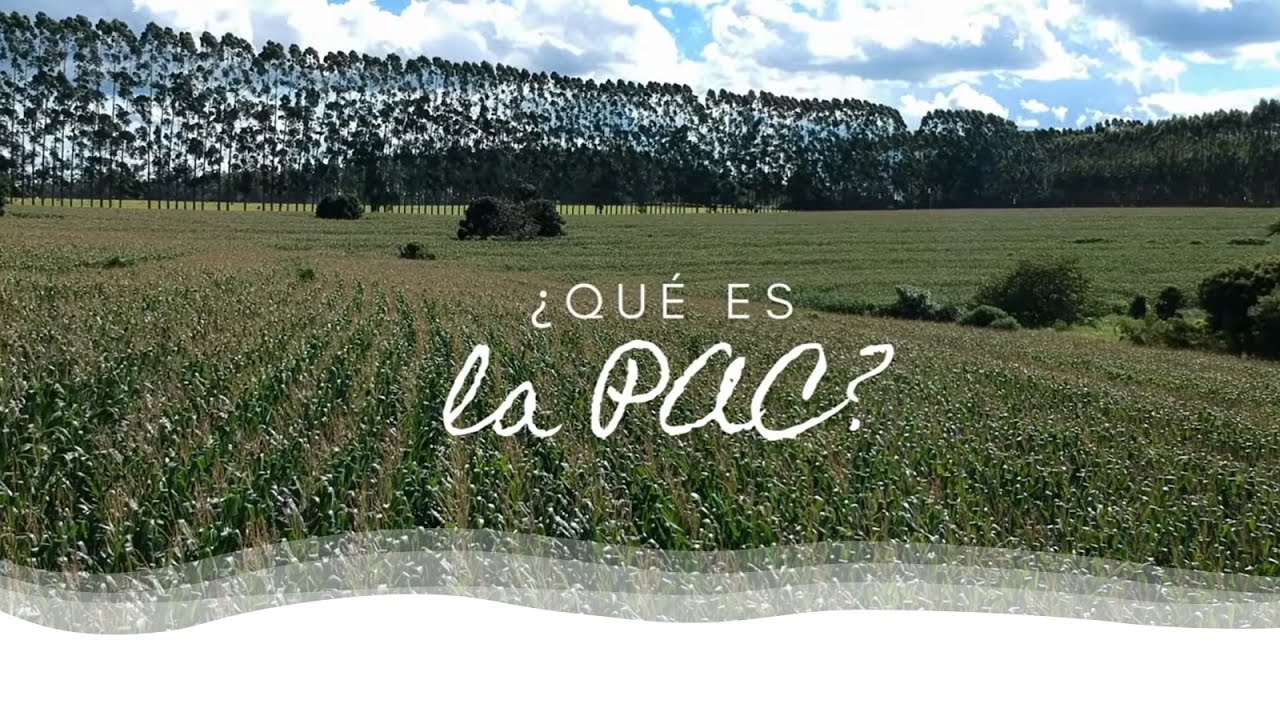 🚜🌾 ¿Qué es la PAC y por qué es importante? Objetivos