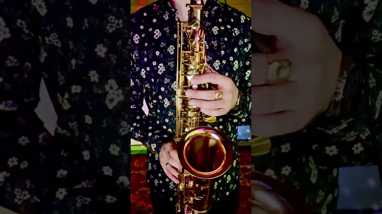 Jānis Kalniņš & Roja - Laiks Mīlēt (SAX cover by OMSAX)