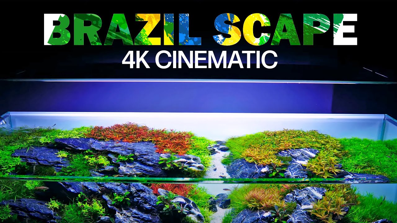 Overgrown beauty - Our Brazilian-Style CONTEST Aquascape @ 3 Months - 4K Cinematic