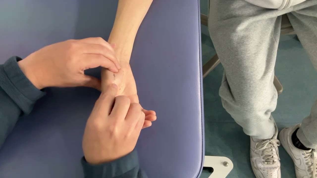 12 正中神経支配の筋の触察②