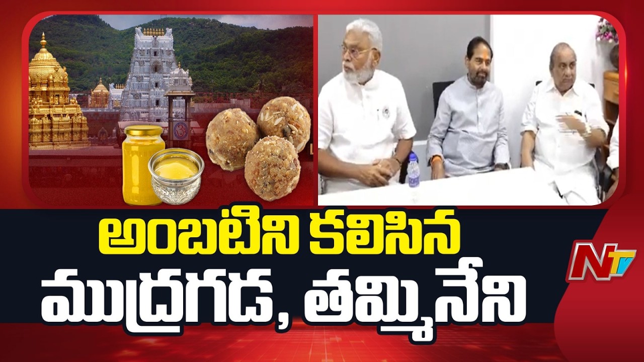 తిరుమల లడ్డూ కల్తీపై చంద్రబాబు అబద్ధాలు ఆడుతున్నారు |YCP Leaders Meet Ambati Rambabu in Guntur | NTV