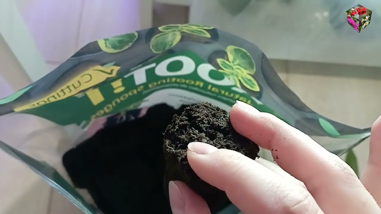КРОТОН: Кубики для КЛОНИРОВАНИЯ Root Riot. Clonex Gel. ПРОРАЩИВАНИЕ в ТЕПЛИЦЕ и СУБСТРАТ