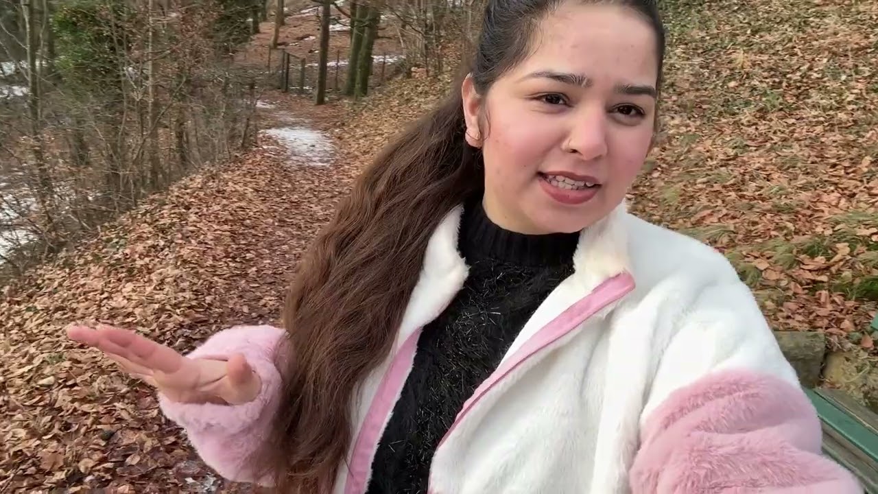 आज हम पहाड़ों पर गए  🏔️ | Mountain Vibes #mountain #austria #linz #followers #likeandsubscribe 