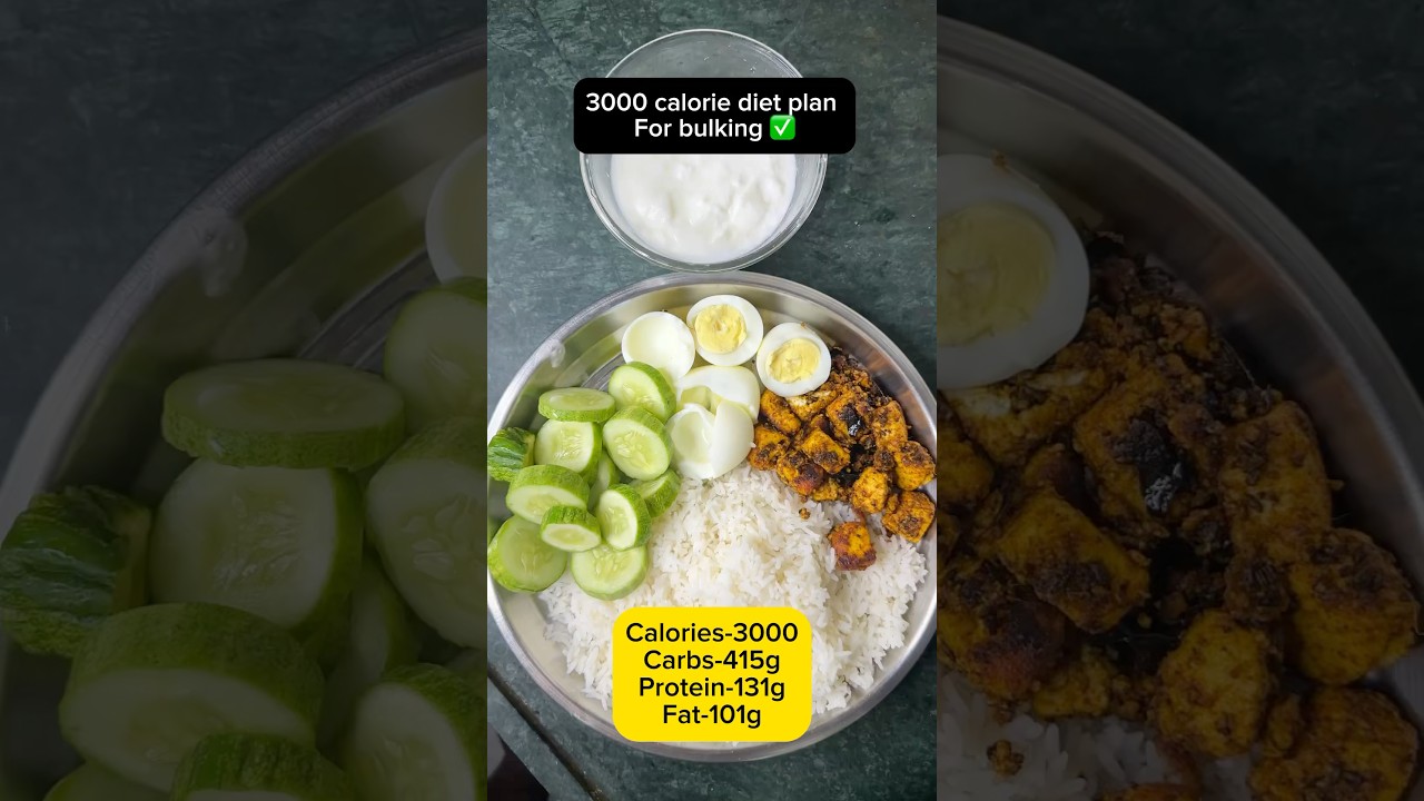 Breakfast,Lunch & Dinner options for a 3000 calorie diet plan 