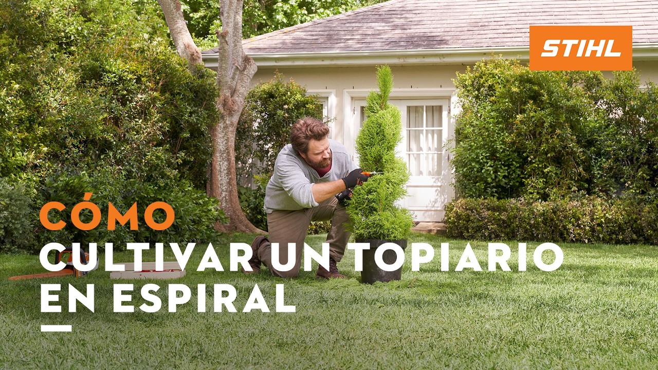 C&oacute;mo cultivar un topiario en espiral  | STIHL DIY