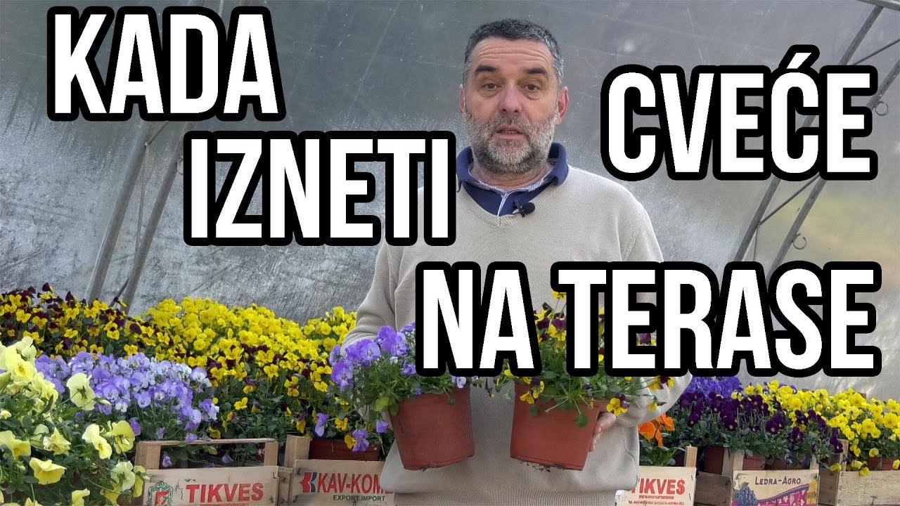 Kada je najbolje vreme da iznesete cveće na terase?